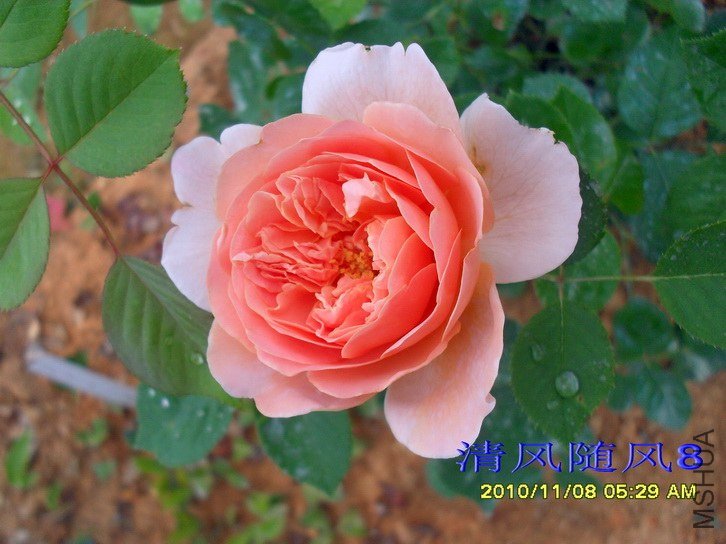 ��촬~1 of ������8.jpg