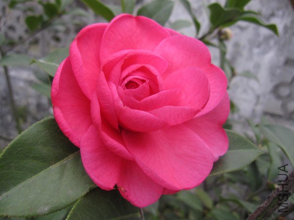 IMG_9882.jpg