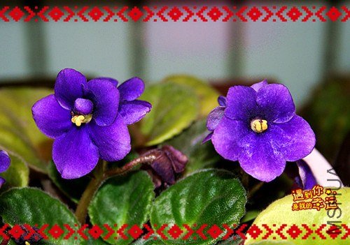 ��Ƭ 111_����.jpg