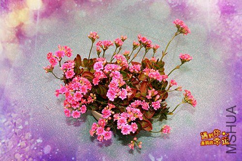 ��Ƭ 087_����.jpg