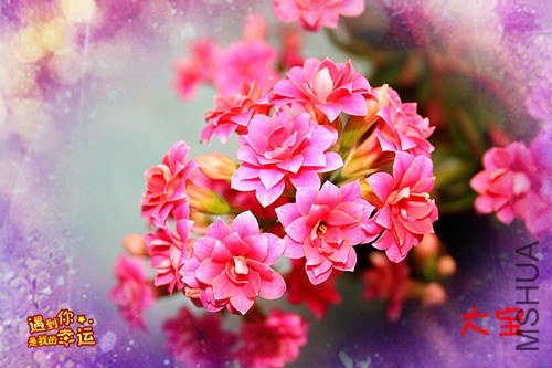 ��Ƭ 090_����.jpg