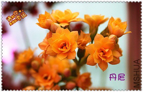 ��Ƭ 072_����.jpg