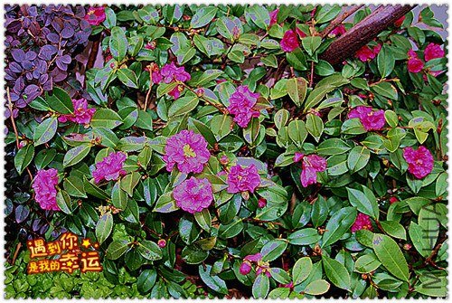 ��Ƭ 120_����.jpg