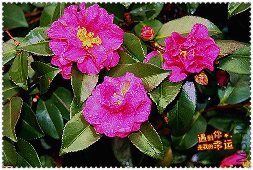 ��Ƭ 123_����.jpg