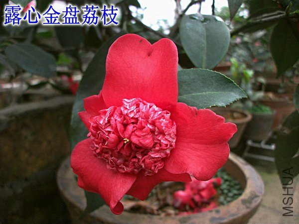 ��Ƭ 157_����_����.jpg