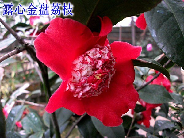 ��Ƭ 156_����_����.jpg