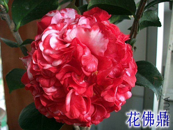 ��Ƭ 055_����.jpg