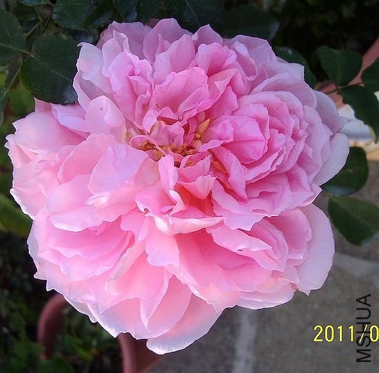 ��÷˼~5 of zjaabing.jpg