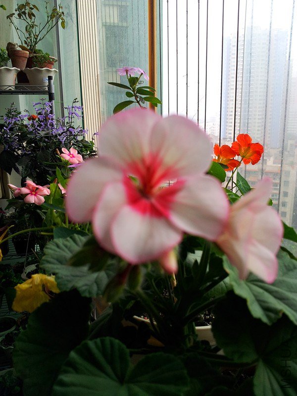 20130205_082530_����.jpg