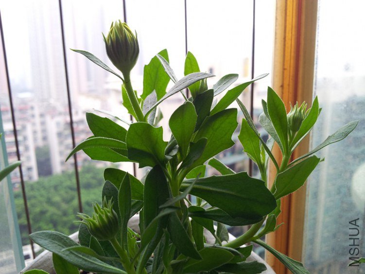 20130205_082656_����.jpg