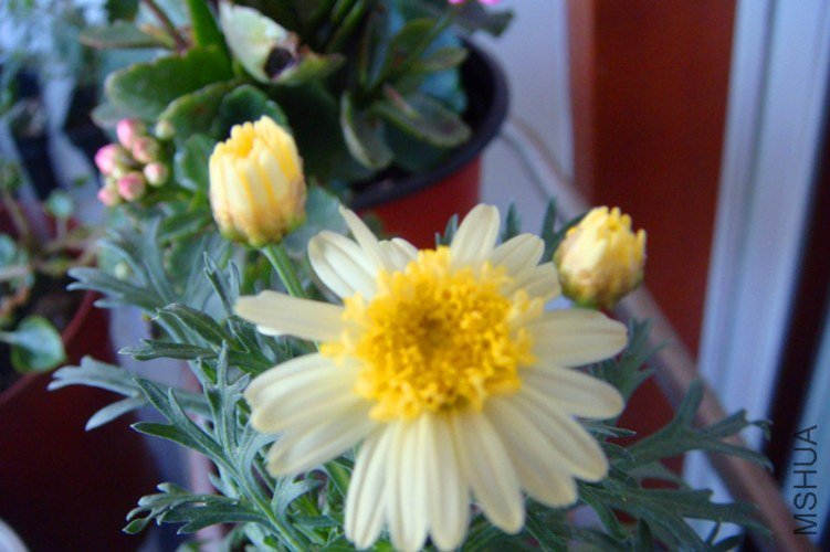 DSC07980_����.jpg