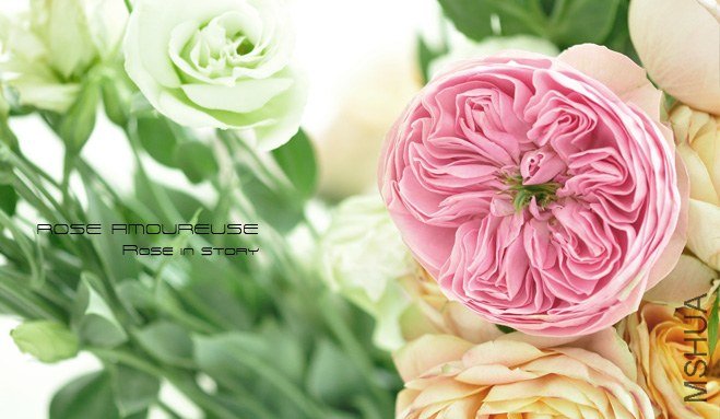 AMOUREUSE 3.jpg