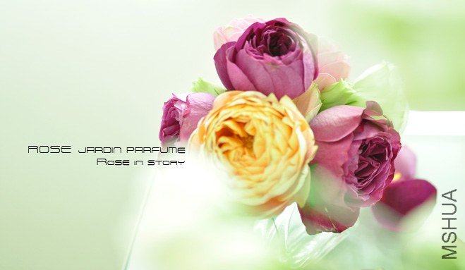 Jardin parfume6.jpg