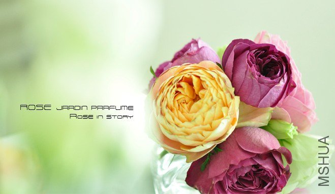 Jardin parfume5.jpg