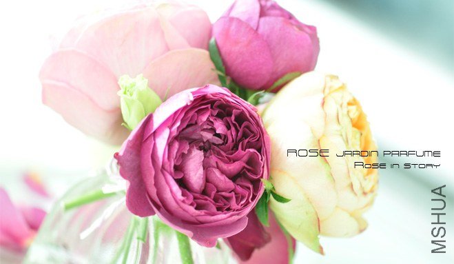 Jardin parfume3.jpg
