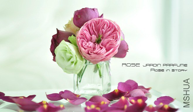 Jardin parfume2.jpg