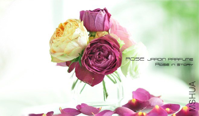 Jardin parfume.jpg