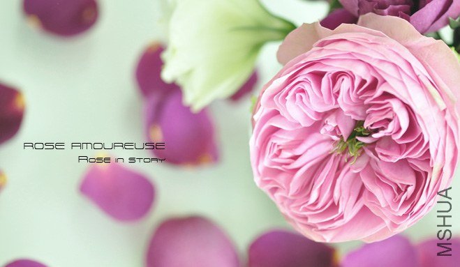 AMOUREUSE 4.jpg