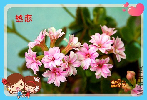 ��Ƭ 075_����1.jpg