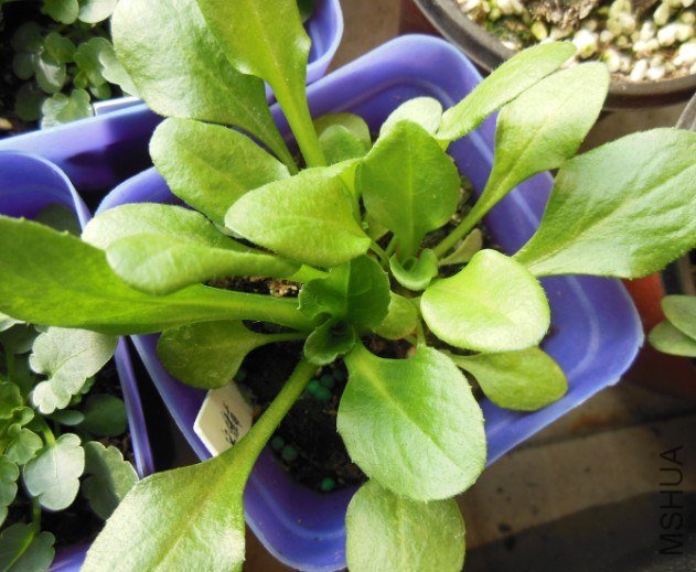 QQ��ͼ20130221222951.jpg