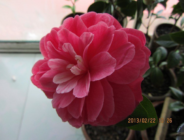 IMG_0614.JPG