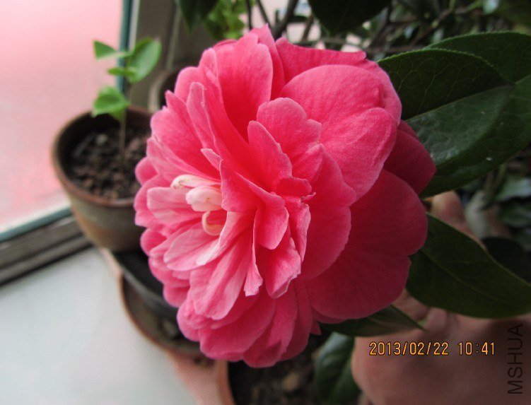 IMG_0625.JPG