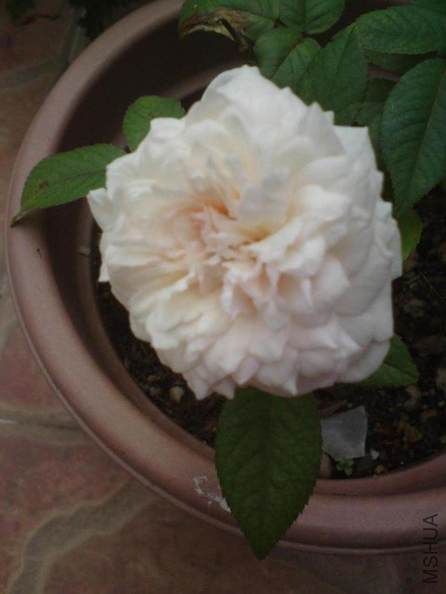 DSC01157.JPG