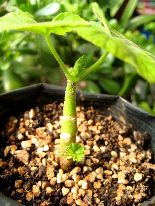 ��Ƭ 192_����.jpg