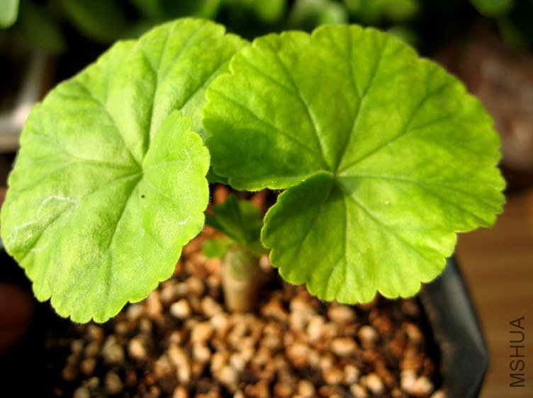 ��Ƭ 190_����.jpg