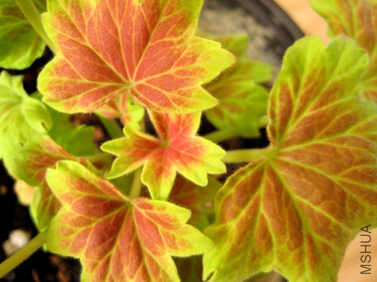 ��Ƭ 186_����.jpg