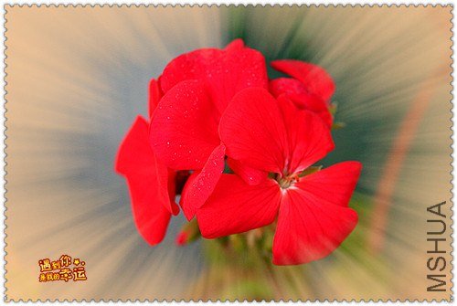 ��Ƭ 010_����.jpg