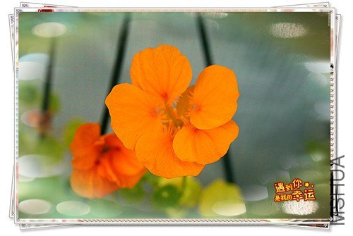 ��Ƭ 005_����.jpg