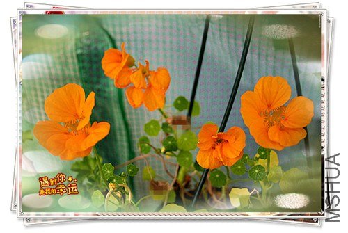 ��Ƭ 002_����.jpg