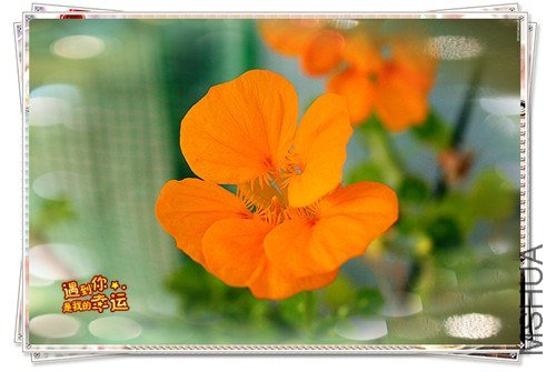 ��Ƭ 003_����.jpg