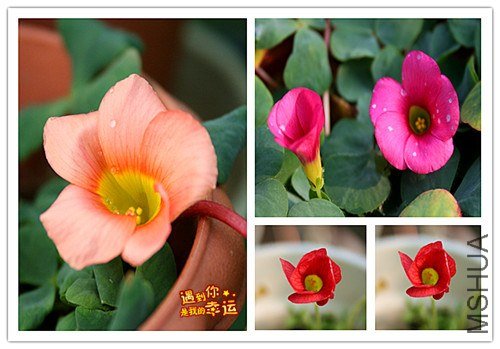 ��Ƭ 069_����.jpg