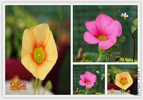 ��Ƭ 065_����.jpg