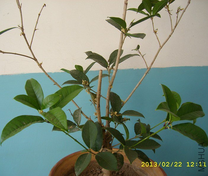 STP64944_����.jpg