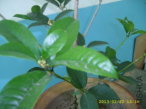 STP64942_����.jpg