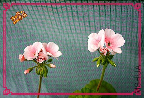 ��Ƭ 006_����.jpg