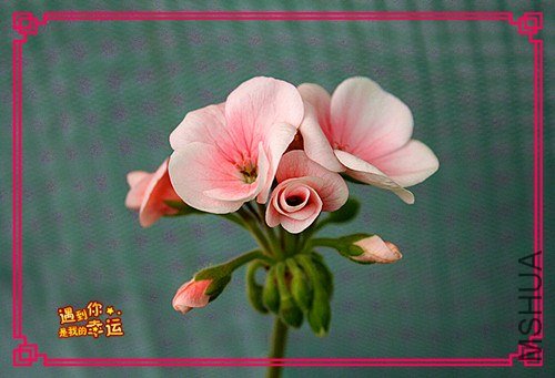 ��Ƭ 007_����.jpg