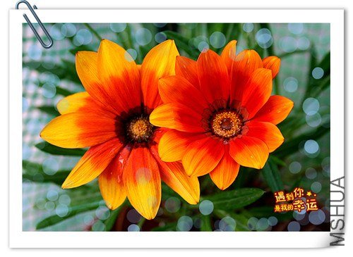 ��Ƭ 075_����.jpg