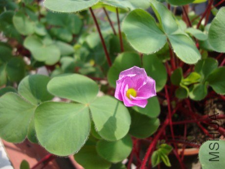 DSC00614.jpg