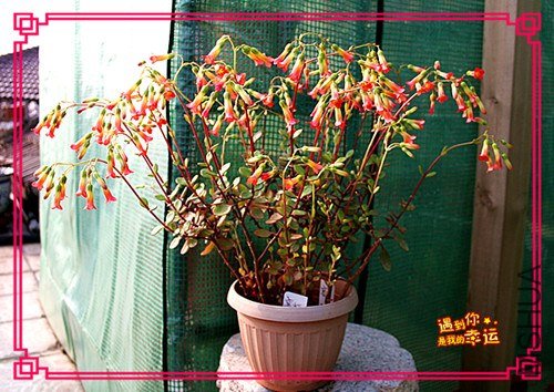 ��Ƭ 085_����.jpg