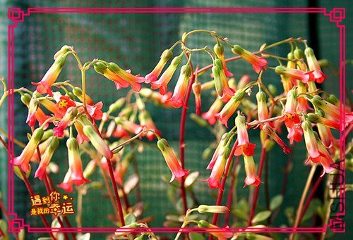 ��Ƭ 087_����.jpg