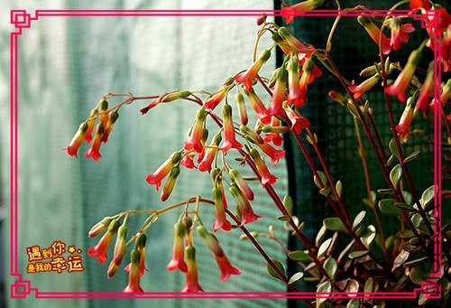 ��Ƭ 089_����.jpg