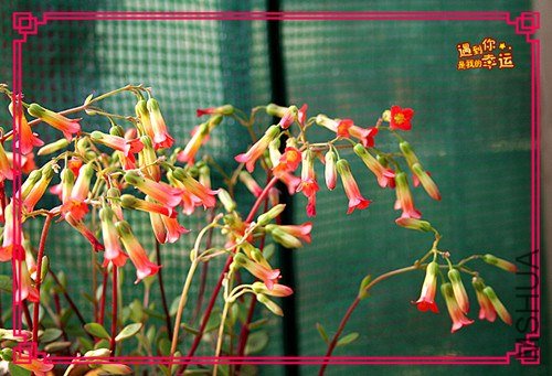 ��Ƭ 092_����.jpg