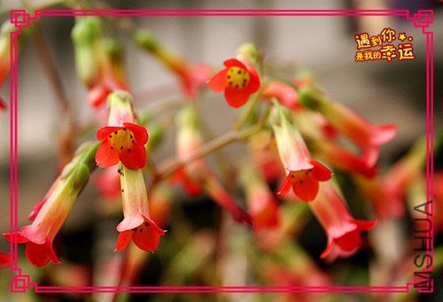 ��Ƭ 094_����.jpg