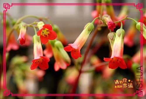 ��Ƭ 096_����.jpg