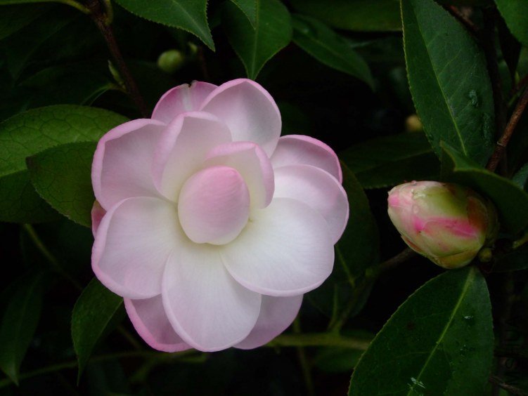 Ʈ�� 2013-2-23 005.jpg