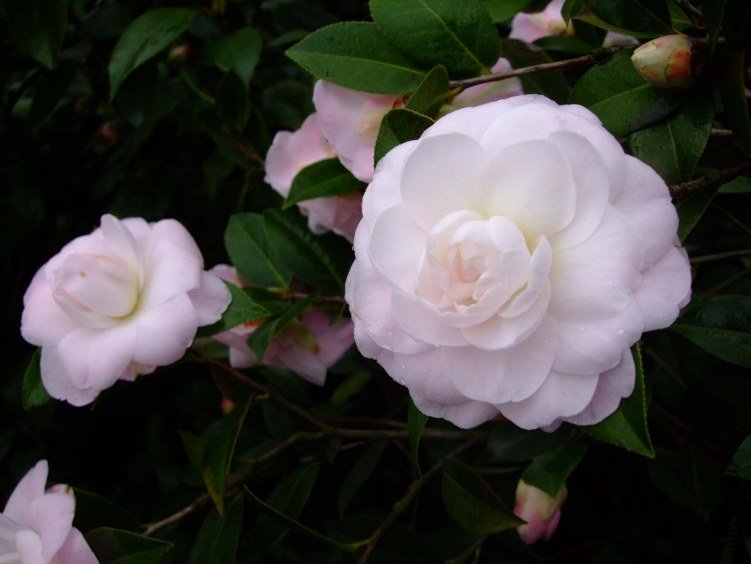 Ʈ�� 2013-2-23 007.jpg